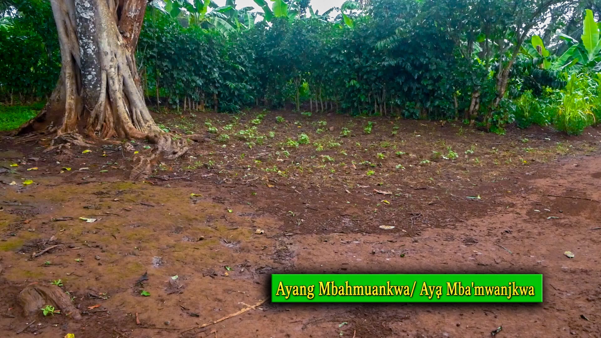 Mankong heritage photograph 23