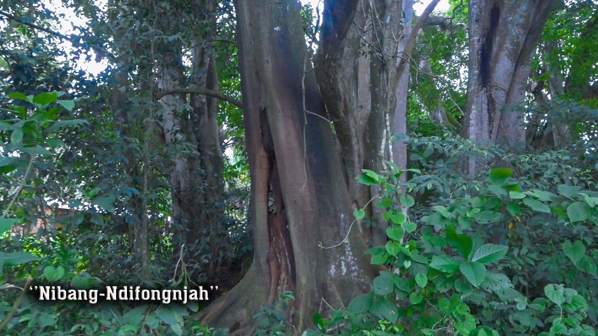 Mankong heritage photograph 27