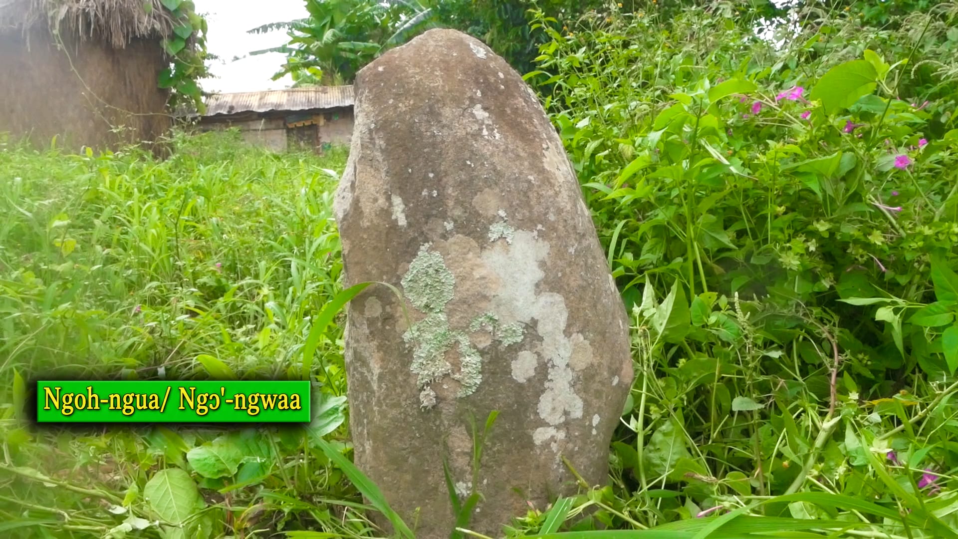 Mankong heritage photograph 51