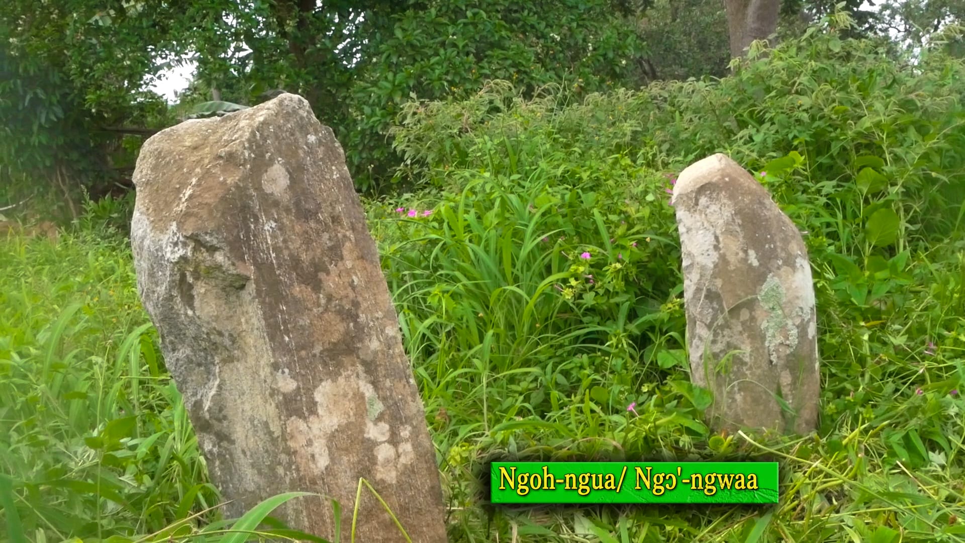 Tourism at Bamunkumbit