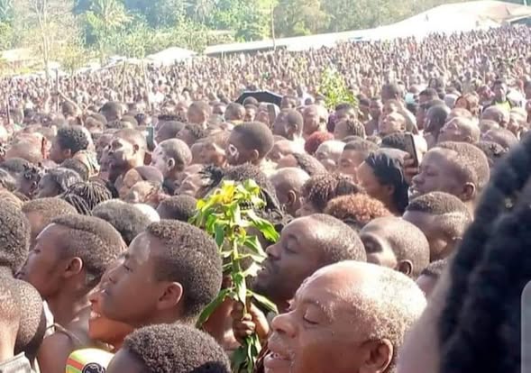 Participants at a Fon crowning ceremony